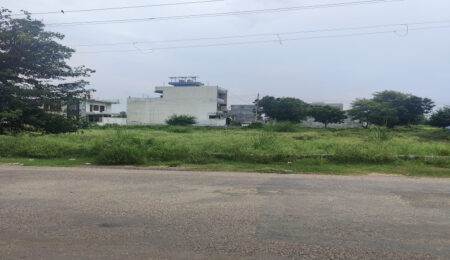 Property Dealer