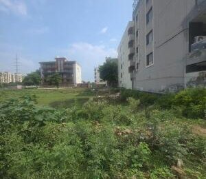 Sector 19 Faridabad