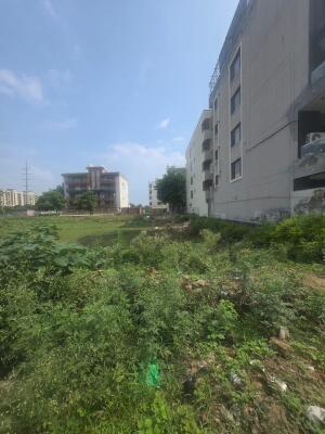 Sector 19 Faridabad