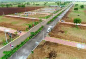 148 Sq. Yards Plot for Sale in SOHA Olive Town Sector 97 Faridabad