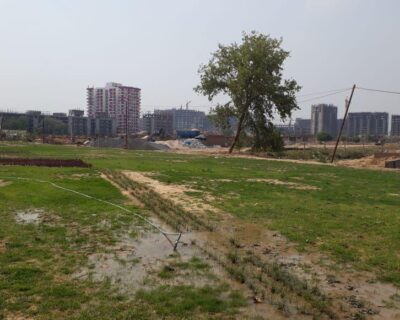 173771483O-1558262646-Copy