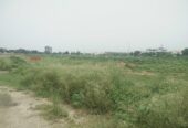 173 Sq. Yards Premium Plot for Sale in Omaxe City Sector 97 Faridabad
