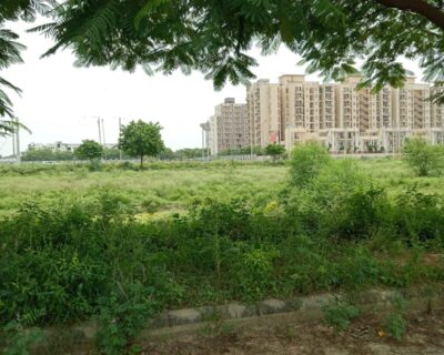 642783153O-1756991511354-1