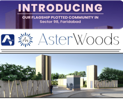Asterwood-2-7