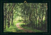 Buy 290 Sq. Yards Plot in Amolik Concordia Faridabad