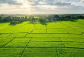 Buy 250 Sq. Yards BPTP Plot in Sector 85 Faridabad