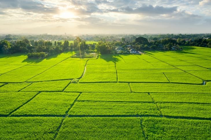 Buy 250 Sq. Yards BPTP Plot in Sector 85 Faridabad