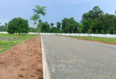 Premium HUDA Plot for Sale in Sector 78, Faridabad | 387 Sq. Yards | North Facing