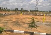 Premium East-Facing Plot for Sale in BPTP, Sector 84, Faridabad