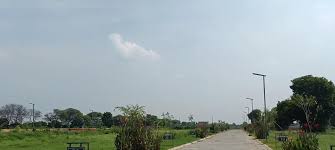 images-6