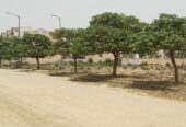Omaxe City Plots Sector 97 Faridabad