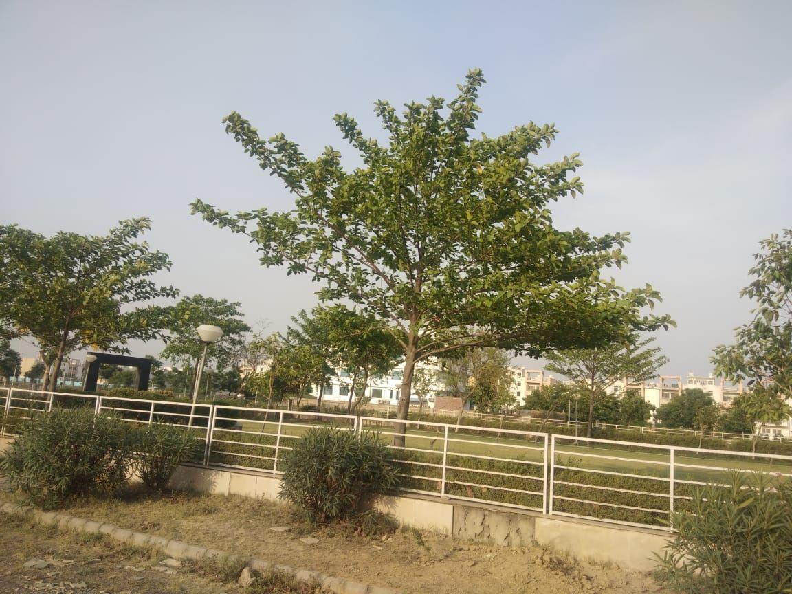 BPTP Parklands Pride Plots Sector 77 Faridabad