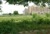 Premium North-Facing HUDA Plot for Sale | Sector 77 Faridabad