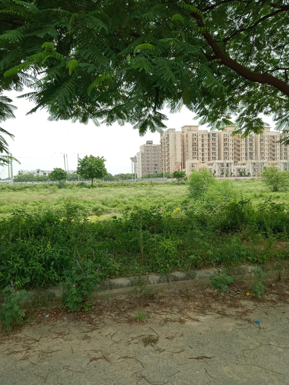 Premium North-Facing HUDA Plot for Sale | Sector 77 Faridabad