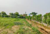 Residential Plot for Sale in Amolik Concordia Sector 97 Faridabad