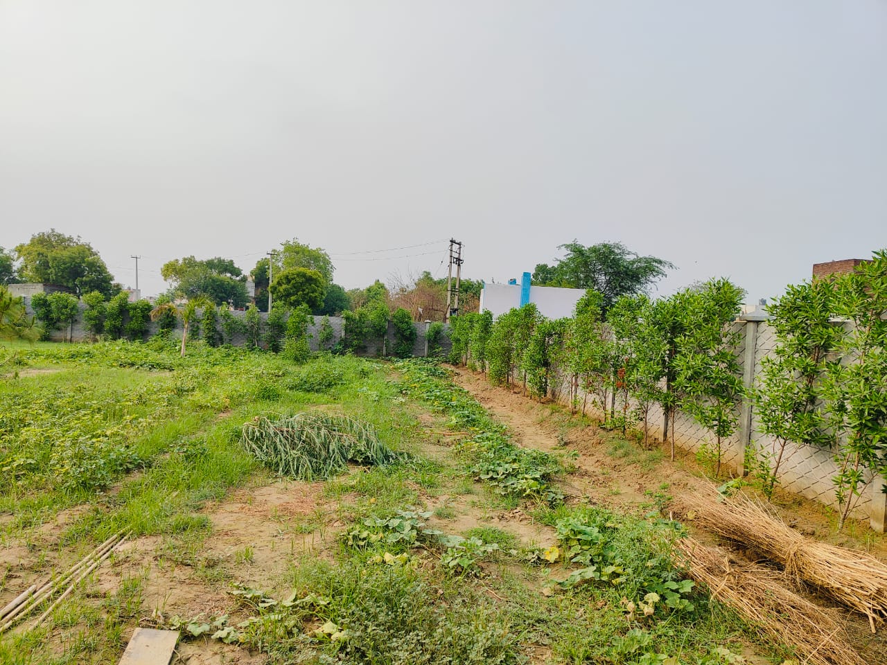 Luxury Residential Plot for Sale – BPTP Parklands Faridabad