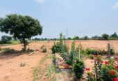 Residential Plot for Sale in Amolik Concordia Sector 97 Faridabad