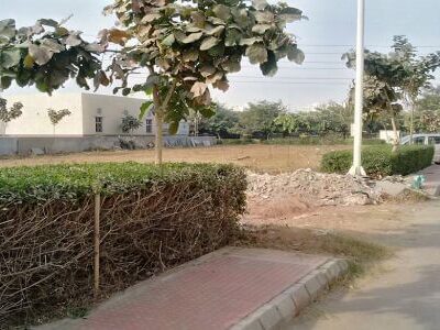 ansal-versalia-plots-2-thumbnail